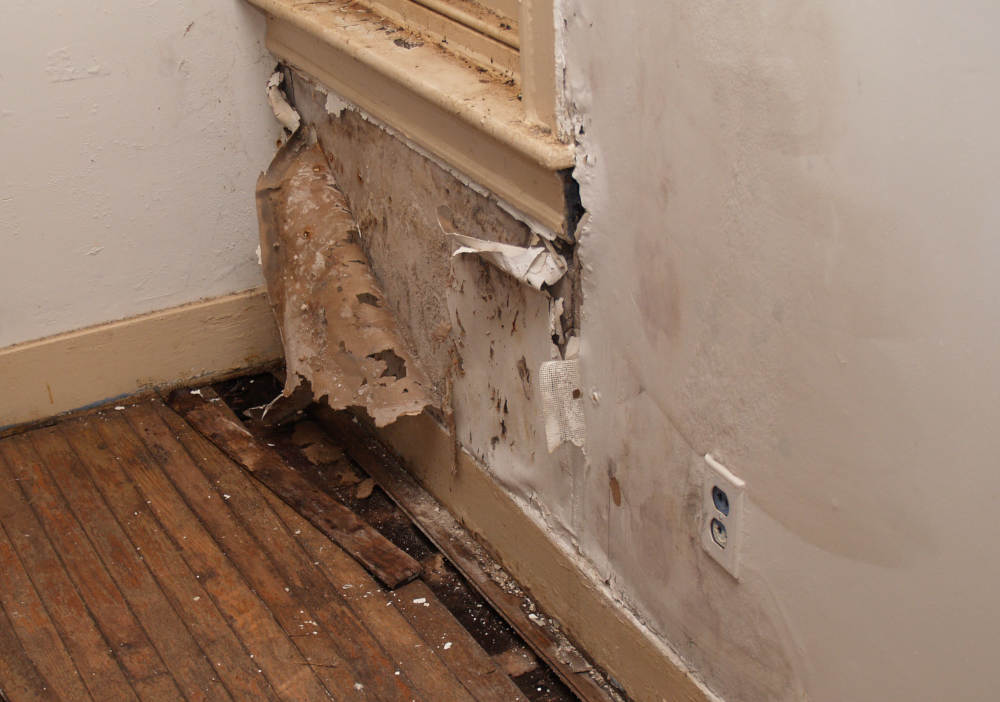 What You Need to Know About Lead Paint